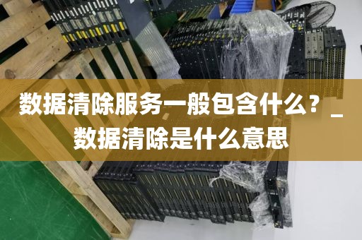 数据清除服务一般包含什么？_数据清除是什么意思