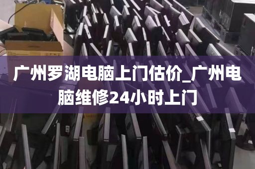 广州罗湖电脑上门估价_广州电脑维修24小时上门