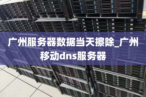 广州服务器数据当天擦除_广州移动dns服务器