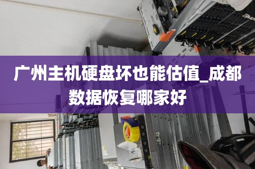 广州主机硬盘坏也能估值_成都数据恢复哪家好
